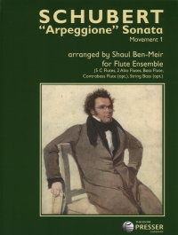 Schubert Arpeggione Sonata 1st Mov Flute Ensemble Sheet Music Songbook