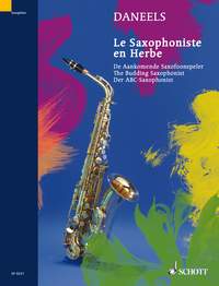 Budding Saxophonist Exercises For Year 1 Sheet Music Songbook