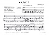Bellstedt Napoli Brand Trumpet Sheet Music Songbook