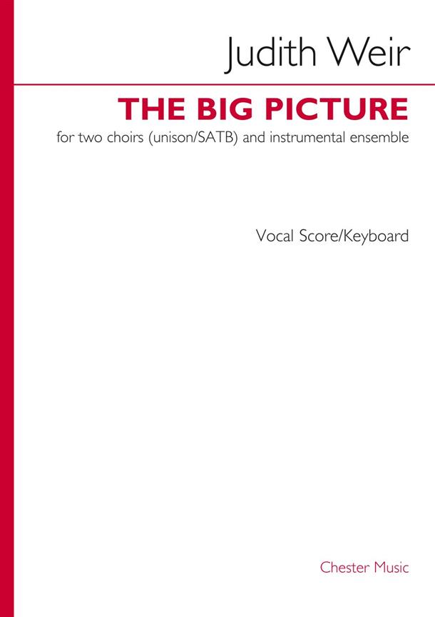 Weir The Big Picture Vocal Score/keyboard Sheet Music Songbook