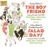 The Boyfriend & Salad Days Musicals Music Cd Sheet Music Songbook