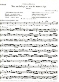 Bach Cantata No 208 (bwv208) Violin I Sheet Music Songbook