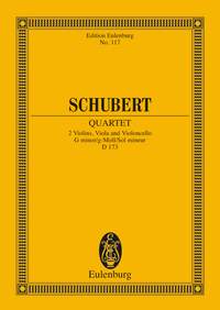 Schubert String Quartet G Minor D173 Pocket Score Sheet Music Songbook
