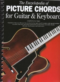 Encyclopedia Of Picture Chords Guitar/keyboard Sheet Music Songbook