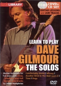 Dave Gilmour Learn To Play The Solos Lick Lib Dvd Sheet Music Songbook