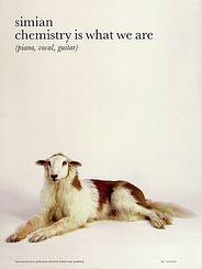 Simian Chemistry Is What We Are Pvg Sheet Music Songbook