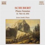 Schubert Piano Sonatas D784 & D894 Music Cd Sheet Music Songbook