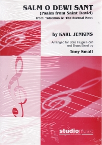 Salm O Dewi Sant Jenkins/small Brass Band Sheet Music Songbook