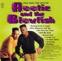 Pscdg1201 Hootie And The Blowfish Hits Sheet Music Songbook